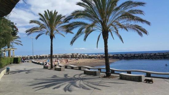 Casa Ventura Villa Arco da Calheta  Exterior photo